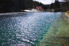 Jezero-Javorniski-rovt3