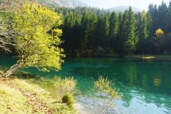 Jezero-Javorniski-rovt6