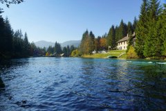 Jezero-Javorniski-rovt8